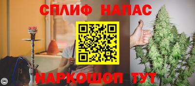 Альфа ПВП Сланцы