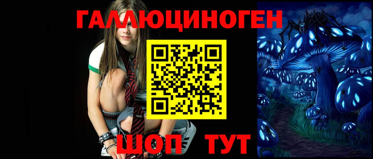 Новоалександровск  сколько стоит  Вход с VPN  Псилоцибиновые грибы GOLDEN TEACHER 
